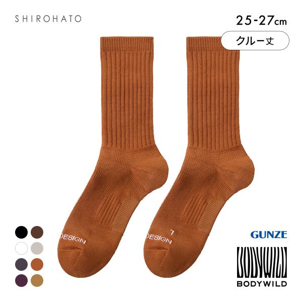 グンゼ BODYWILD by BEAMS DESIGN アーチサポート クルー丈 ソックス メンズ 25-27cm GUNZE ビームス ボディワイルド