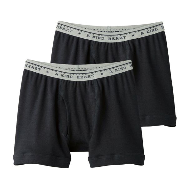 グンゼ GUNZE キッズ ジュニア 無地 ボクサーパンツ 2枚組 男児 子供肌着 綿100％ 100-160