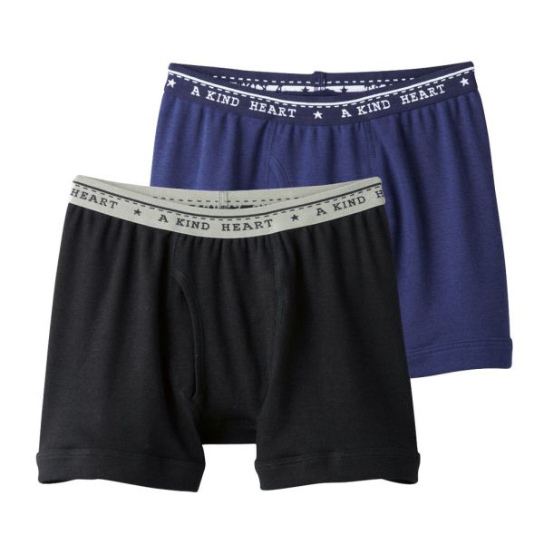 グンゼ GUNZE キッズ ジュニア 無地 ボクサーパンツ 2枚組 男児 子供肌着 綿100％ 100-160