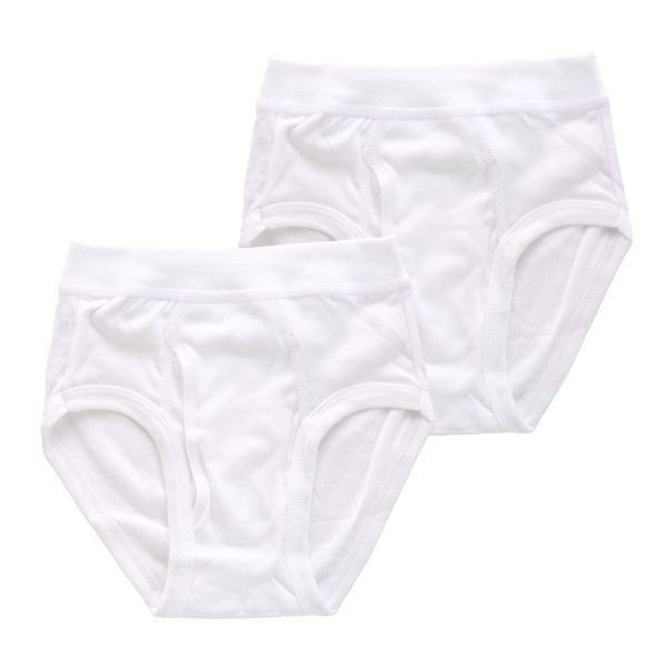 グンゼ GUNZE キッズ ジュニア 無地 スパンブリーフ 2枚組 男児 子供肌着 綿100％ 100-160