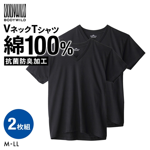 グンゼ GUNZE ボディワイルド BODY WILD  Vネック Tシャツ 2枚組 メンズ 半袖