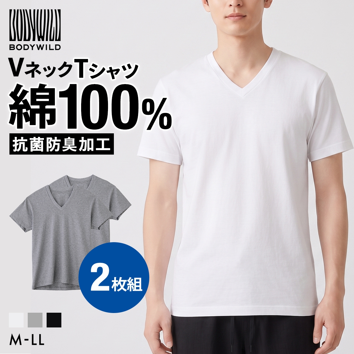 グンゼ GUNZE ボディワイルド BODY WILD  Vネック Tシャツ 2枚組 メンズ 半袖