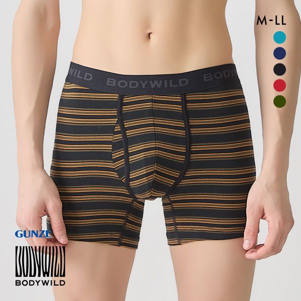20%OFF【メール便(15)】 グンゼ GUNZE ボディワイルド BODY WILD ボクサーパンツ メンズ 綿混 ボーダー 前あき 20%OFF【メール便(15)】 グンゼ GUNZE ボディワイルド BODY WILD ボクサーパンツ メンズ 綿混 ボーダー 前あき