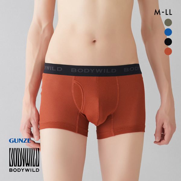 グンゼ GUNZE ボディワイルド BODY WILD ボクサーパンツ メンズ 前あき メッシュ