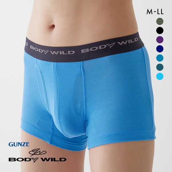 グンゼ GUNZE ボディワイルド BODY WILD ボクサーパンツ メンズ 吸汗速乾 メッシュ BWB084J