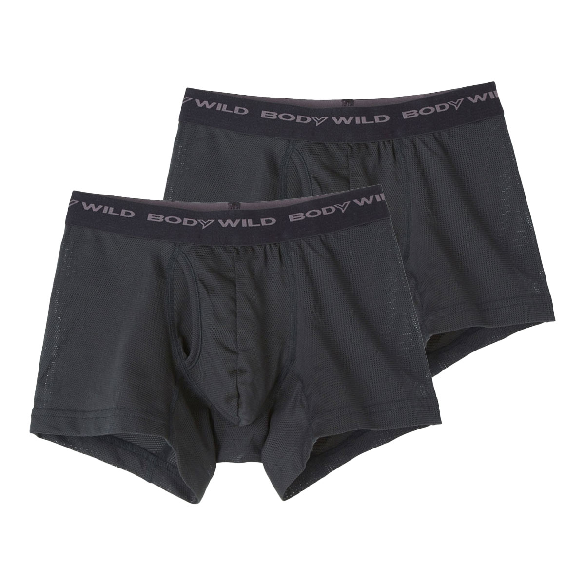 グンゼ GUNZE ボディワイルド BODY WILD ボクサーパンツ 2点セット メンズ 吸汗速乾 メッシュ BWB084J(BK-ブラック-M)