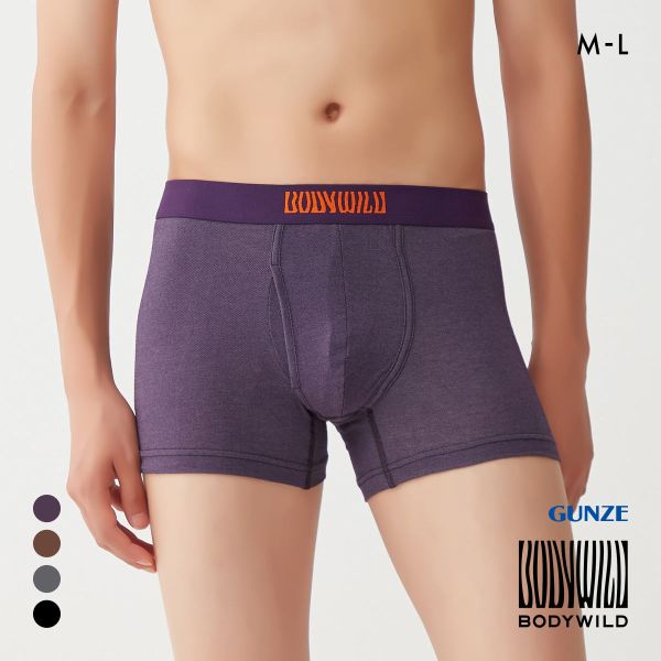 グンゼ BODY WILD by BEAMS DESIGN ボクサーパンツ メンズ ビームス GUNZE ボディワイルド