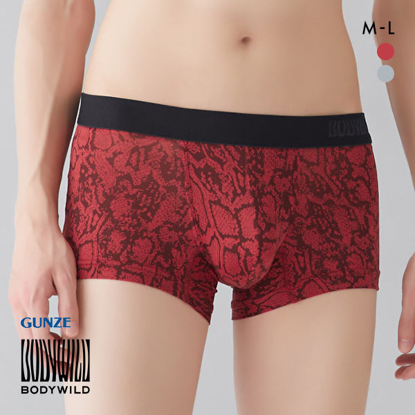 グンゼ GUNZE ボディワイルド BODY WILD ボクサーパンツ メンズ 吸汗速乾 ローライズボクサー 前とじ