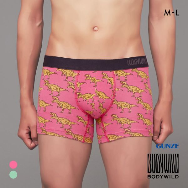グンゼ BODY WILD T.Rex柄 ボクサーパンツ 前閉じ メンズ 綿混 GUNZE ボディワイルド