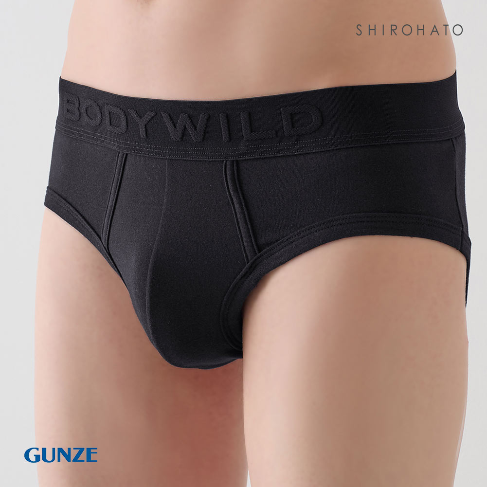 GUNZE グンゼ他　ブリーフ　LL 23枚 スパンブリーフ（前あき）2枚組 GQA530G :メンズ パンツ（下着）