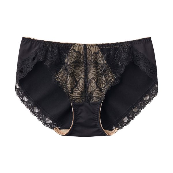 グンゼ GUNZE トゥシェ Tuche more more sheer BRA ペアショーツ レディース 単品