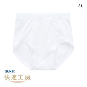 グンゼ GUNZE 快適工房 スパンブリーフ メンズ 前あき 3L 綿100％ 抗菌防臭 日本製