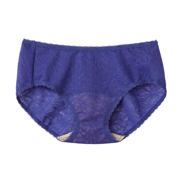 グンゼ GUNZE トゥシェ Tuche more more sheer BRA ペアショーツ スタンダード レギュラー 単品