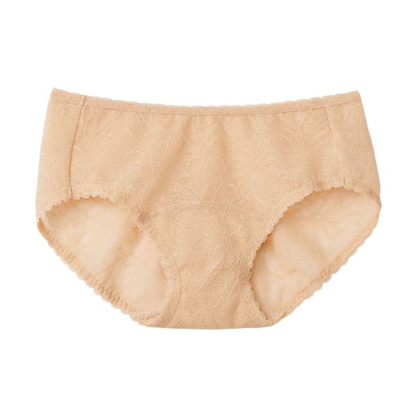 グンゼ GUNZE トゥシェ Tuche more more sheer BRA ペアショーツ スタンダード レギュラー 単品