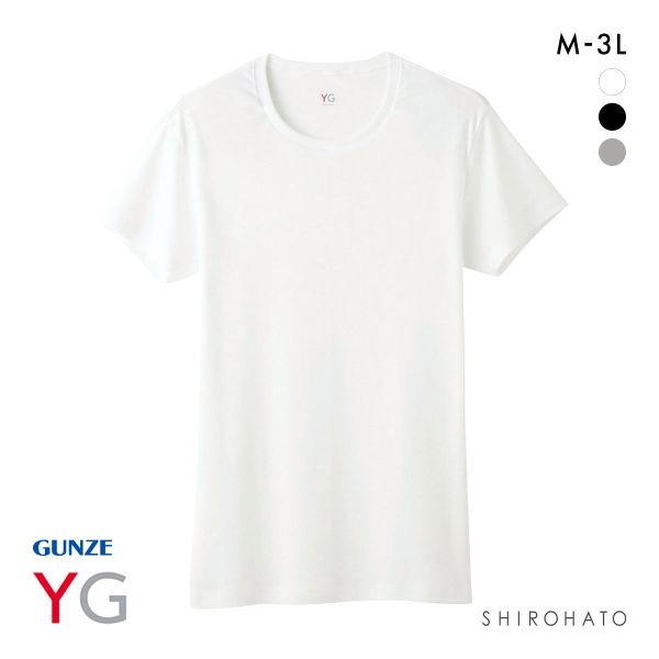 グンゼ GUNZE ワイジー YG コットン100％ クルーネック Tシャツ メンズ 定番 ベーシック オールシーズン
