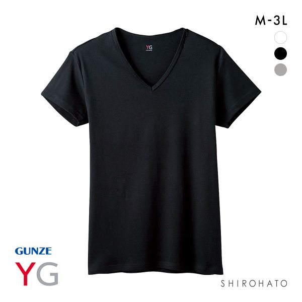 グンゼ GUNZE ワイジー YG コットン100％ Vネック Tシャツ メンズ 定番 ベーシック オールシーズン
