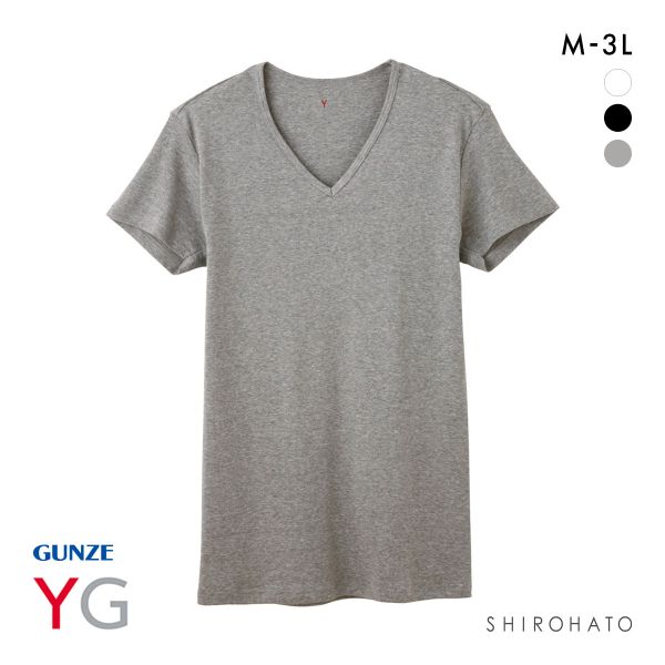 グンゼ GUNZE ワイジー YG コットン100％ Vネック Tシャツ メンズ 定番 ベーシック オールシーズン