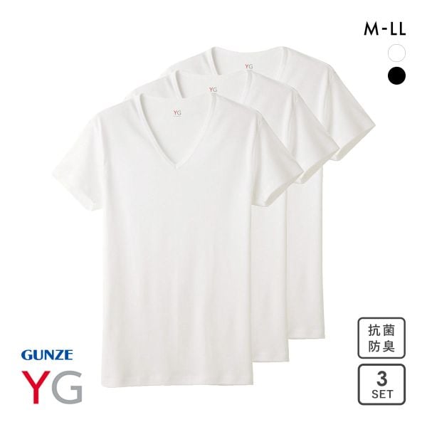 グンゼ GUNZE ワイジー YG コットン100％ Vネック Tシャツ メンズ 定番 ベーシック オールシーズン 三枚組