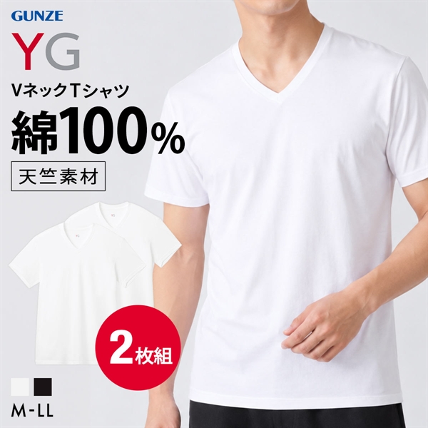 グンゼ YG コットン100％ 天竺 Vネック Tシャツ 2枚セット メンズ インナー 大きいサイズ GUNZE ワイジー
