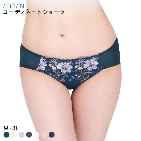 ルシアン 大きめバスト専用 コンパクト設計 ペアショーツ スタンダード M L LL 3L 大きいサイズ LECIEN