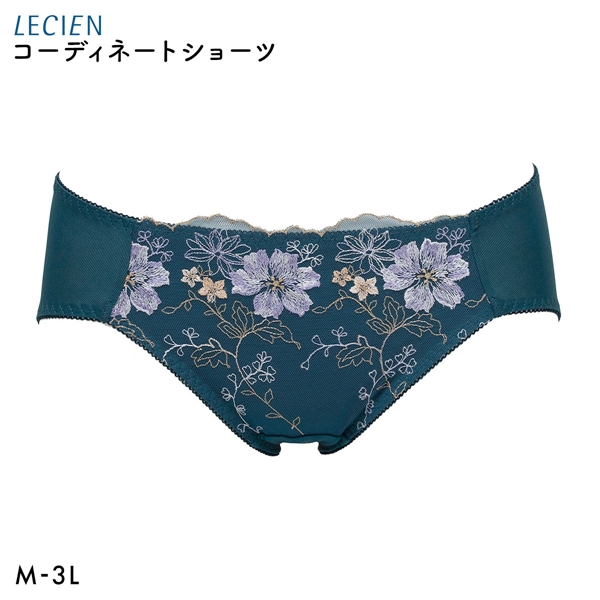 ルシアン 大きめバスト専用 コンパクト設計 ペアショーツ スタンダード M L LL 3L 大きいサイズ LECIEN