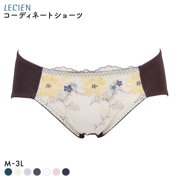 ルシアン 大きめバスト専用 コンパクト設計 ペアショーツ スタンダード M L LL 3L 大きいサイズ LECIEN