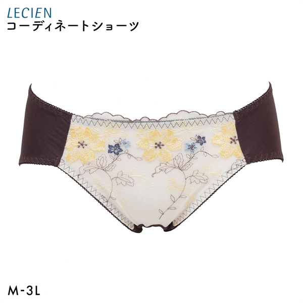 ルシアン 大きめバスト専用 コンパクト設計 ペアショーツ スタンダード M L LL 3L 大きいサイズ LECIEN
