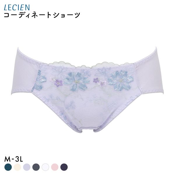 ルシアン 大きめバスト専用 コンパクト設計 ペアショーツ スタンダード M L LL 3L 大きいサイズ LECIEN