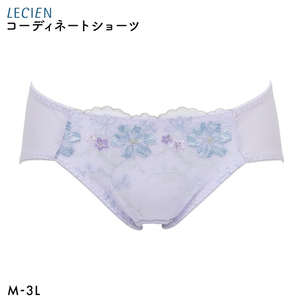 ルシアン 大きめバスト専用 コンパクト設計 ペアショーツ スタンダード M L LL 3L 大きいサイズ LECIEN