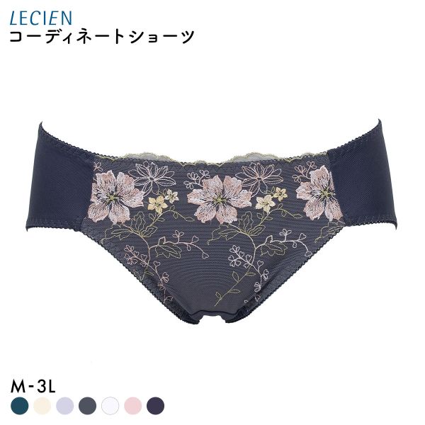 ルシアン 大きめバスト専用 コンパクト設計 ペアショーツ スタンダード M L LL 3L 大きいサイズ LECIEN
