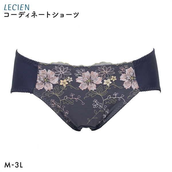ルシアン 大きめバスト専用 コンパクト設計 ペアショーツ スタンダード M L LL 3L 大きいサイズ LECIEN