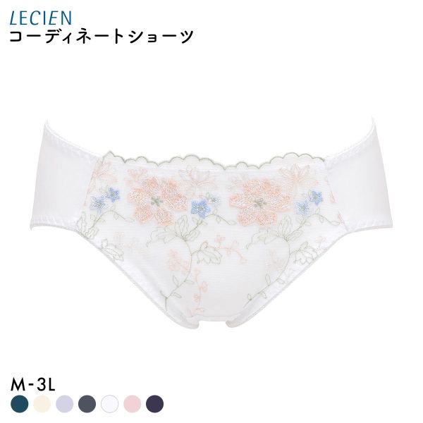 ルシアン 大きめバスト専用 コンパクト設計 ペアショーツ スタンダード M L LL 3L 大きいサイズ LECIEN