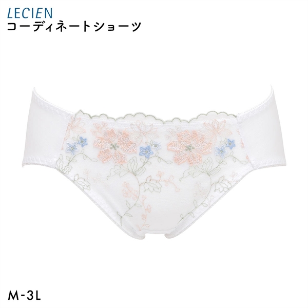 ルシアン 大きめバスト専用 コンパクト設計 ペアショーツ スタンダード M L LL 3L 大きいサイズ LECIEN