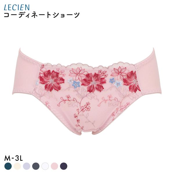 ルシアン 大きめバスト専用 コンパクト設計 ペアショーツ スタンダード M L LL 3L 大きいサイズ LECIEN