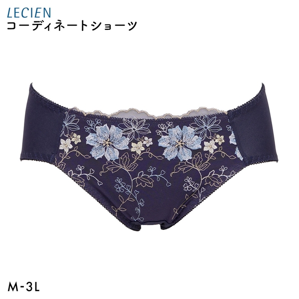 ルシアン 大きめバスト専用 コンパクト設計 ペアショーツ スタンダード M L LL 3L 大きいサイズ LECIEN