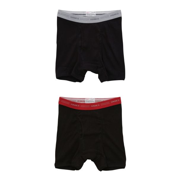 ヘインズ Hanes Global Line ボクサーブリーフ 2枚セット ビッグサイズ 3L 4L HM6EG701K