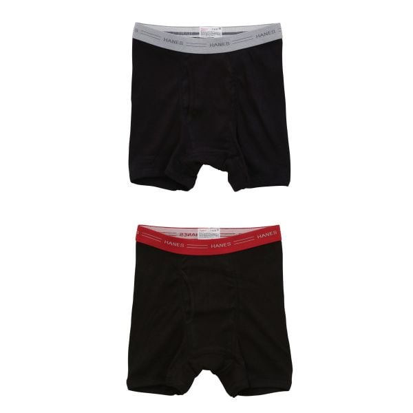 ヘインズ Hanes Global Line ボクサーブリーフ 2枚セット ビッグサイズ 3L 4L HM6EG701K