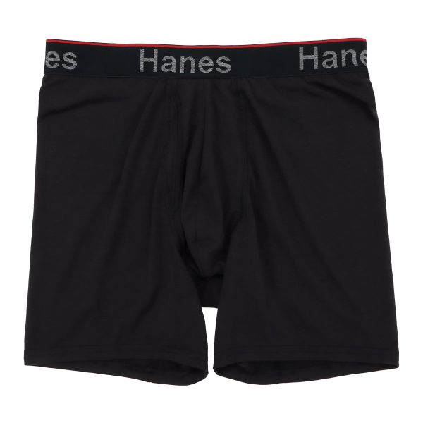 ヘインズ Hanes Comfort Flex Fit Total Support Pouch ボクサーパンツ メンズ アンダーウェア 前開き HM6EW101