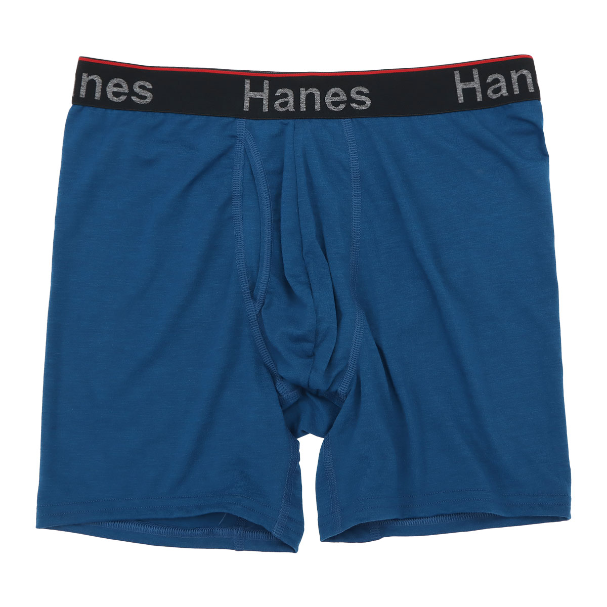 ヘインズ Hanes Comfort Flex Fit Total Support Pouch ボクサーパンツ メンズ アンダーウェア 前開き HM6EW101(BU-ブルー-M)