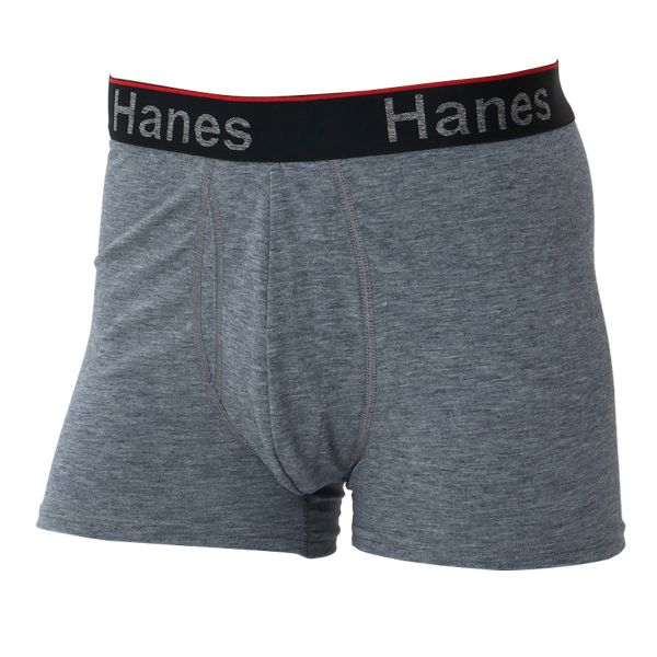 ヘインズ Hanes Comfort Flex Fit Total Support Pouch ショート ボクサーパンツ メンズ アンダーウェア HM6EW103