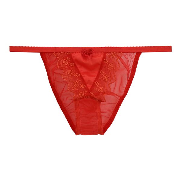 ファニィ FANY ローズ刺繍 シースルー ショーツ