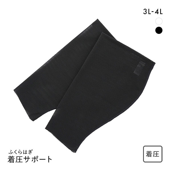 ふくらはぎ着圧サポーター 段階着圧 吸水速乾 3L 4L 大きいサイズ