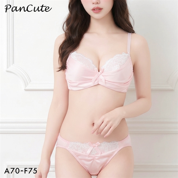 パンキュート マットサテンレース ブラセット ABCDEF 盛り胸 寄せ上げ 大きいサイズ PANCUTE