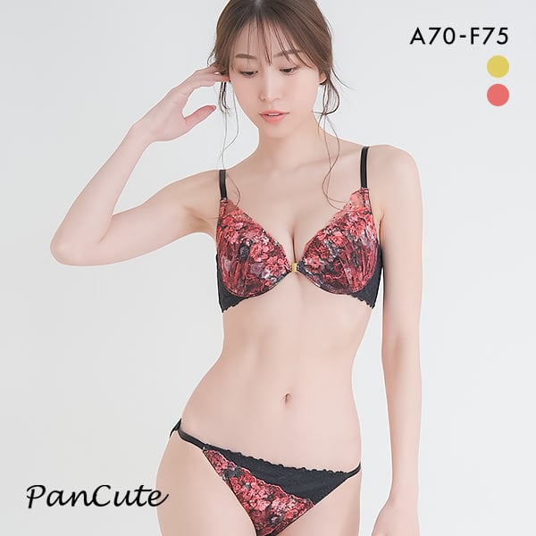 30%OFF パンキュート ヴィヴィットフラワーレース フロントホック ABCDEF 背中みせ 大きいサイズ 谷間 ブラセット ブラジャー ショーツ 30%OFF パンキュート ヴィヴィットフラワーレース フロントホック ABCDEF 背中みせ 大きいサイズ 谷間 ブラセット ブラジャー ショーツ