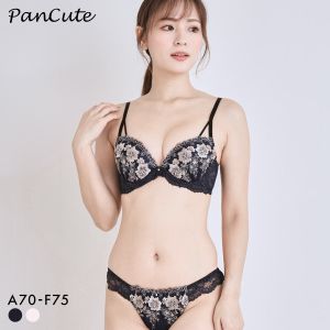 パンキュート 脇肉を谷間に変える脇高ブラ アンティークレース ブラセット ABCDEF 盛り胸 谷間 ブラジャー ショーツ セット Pan Cute