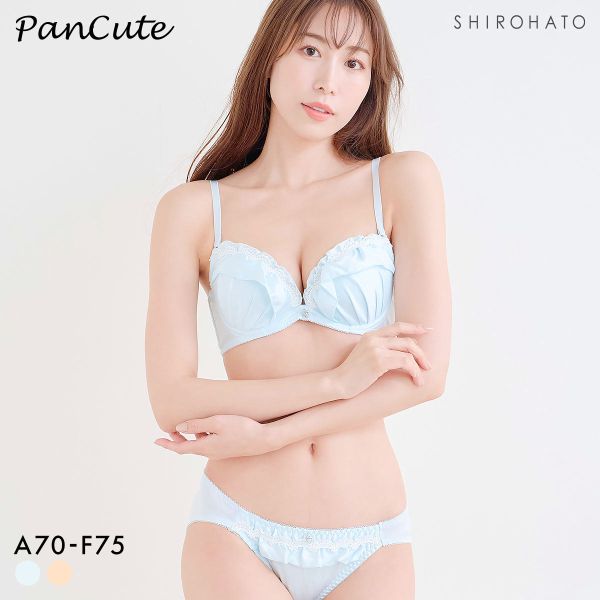 パンキュート 脇肉を谷間に変える脇高ブラ マットサテンフリル ブラセット ABCDEF 盛り胸 谷間 グラマー アンダー大きいサイズ