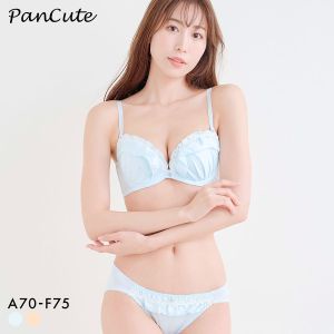 パンキュート 脇肉を谷間に変える脇高ブラ マットサテンフリル ブラセット ABCDEF 盛り胸 谷間 グラマー アンダー大きいサイズ