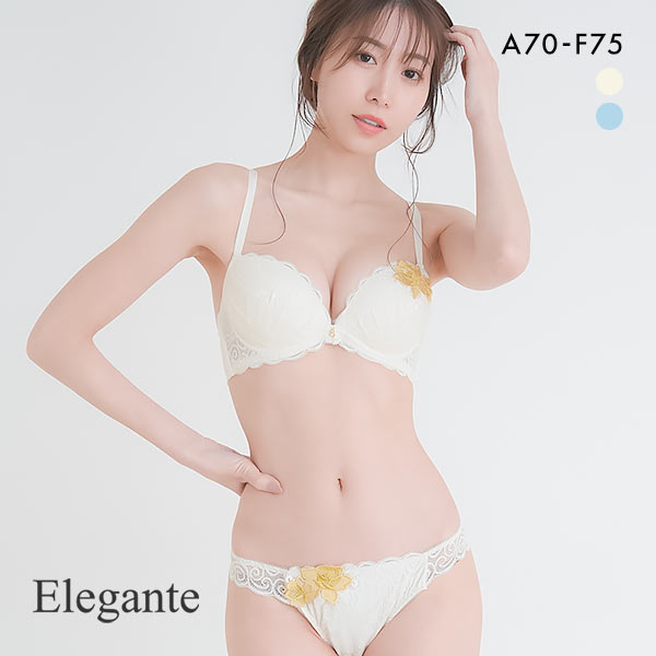 20OFF 쥬 ӥ塼ƥե ֥饻å ABCDEF 礭 ޡ  ë ƴ L磻䡼 ֥饸㡼 硼