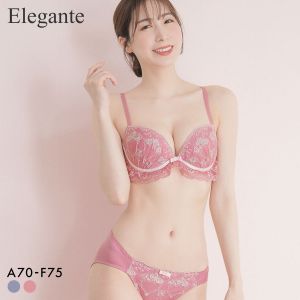 エレガント ロマンティックローズ ブラセット ABCDEF 大きいサイズ グラマー 盛り ブラジャー ショーツ セット 脇寄せ L字 谷間 Elegante