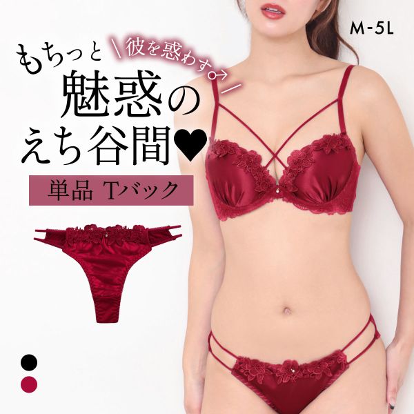 エレガント セクシーサテン＆ケミカル Tバックショーツ M L LL 3L 4L 5L コーディネイト タンガ ソング コーディネイト Elegante